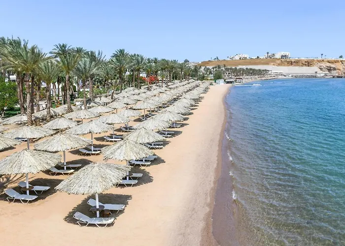 Jaz Elite Palace - Adults Friendly 16 Years Resort Sharm el-Sheikh