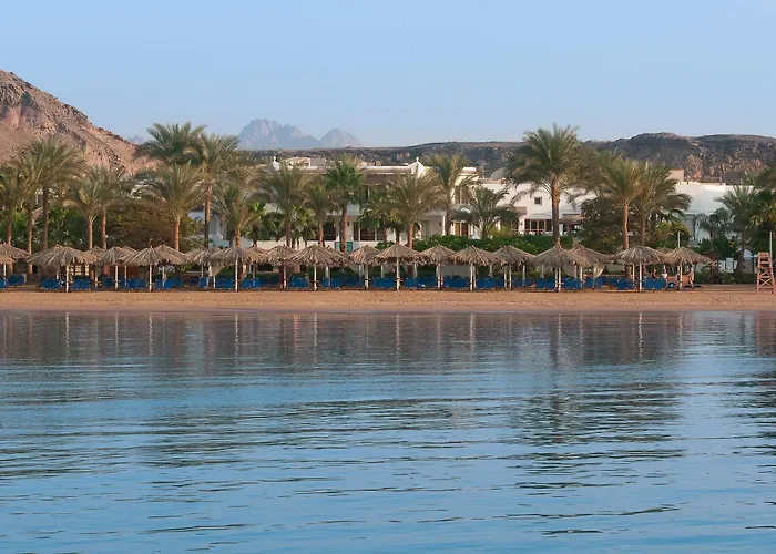 Jaz Elite Palace - Adults Friendly 16 Years 5* Sharm el-Sheikh