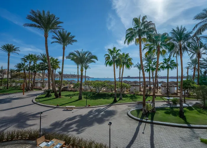 Jaz Elite Palace - Adults Friendly 16 Years Resort Sharm el Sheikh
