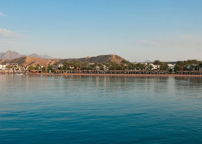 Jaz Elite Palace - Adults Friendly 16 Years 5*