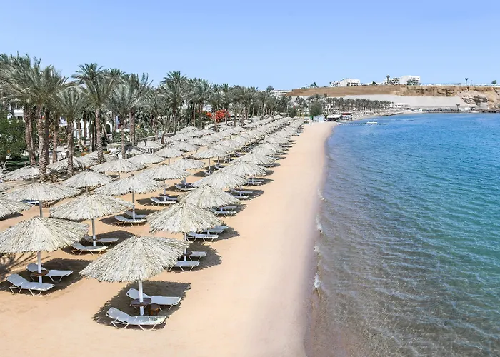 Jaz Elite Palace - Adults Friendly 16 Years Resort Şarm El-Şeyh